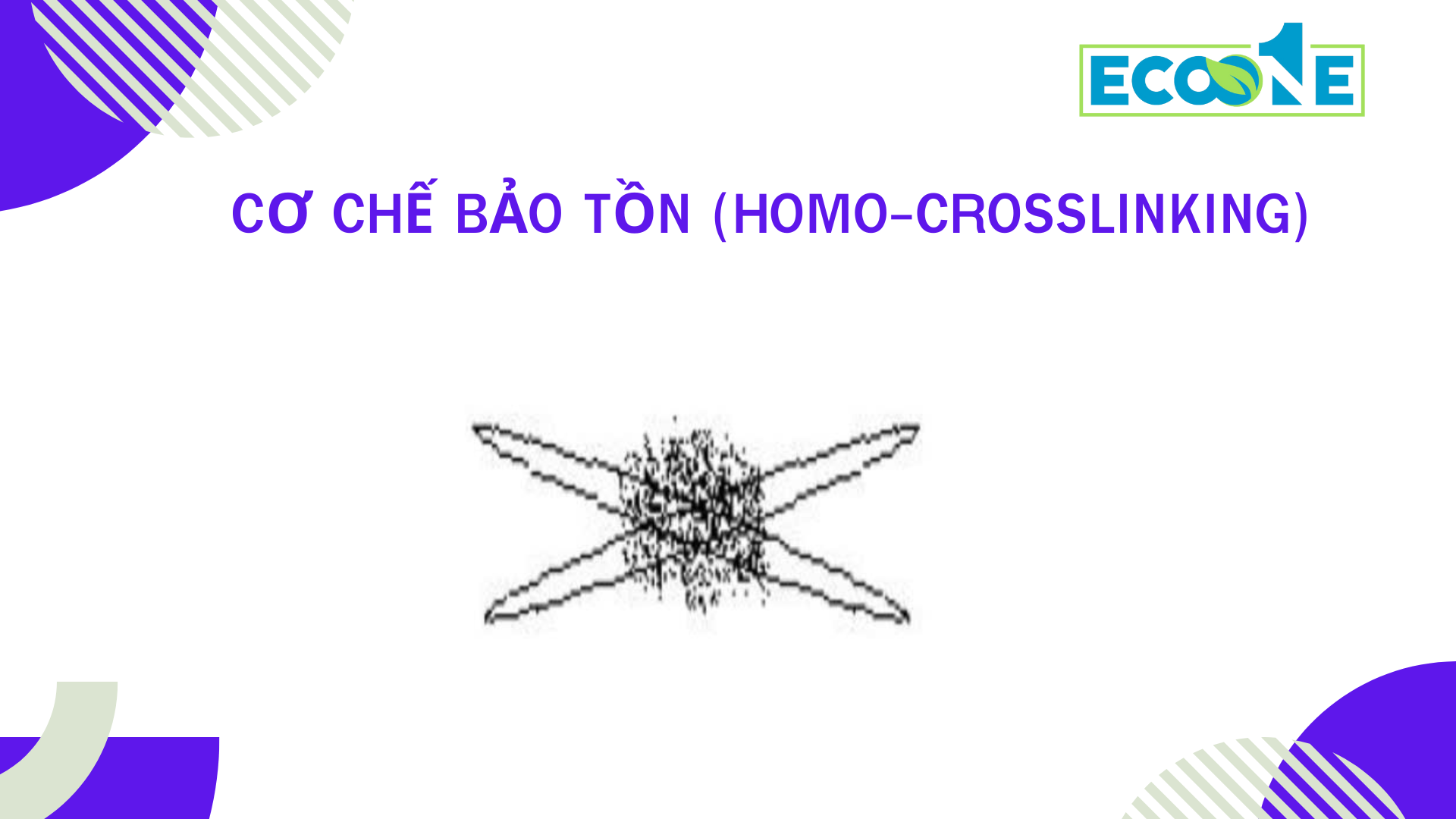 Co-che-bao-ton-homo-crosslinking-cua-chat-tang-ben